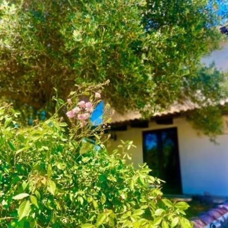 Camera Villa Sarda Aurora Elmas Dış mekan fotoğraf