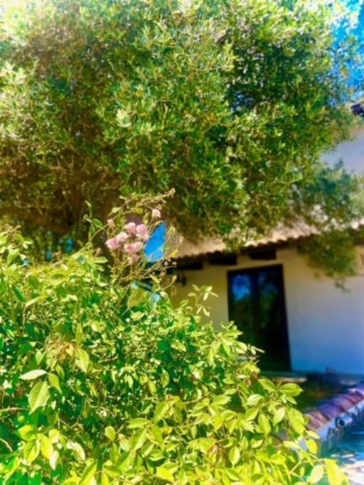 Camera Villa Sarda Aurora Elmas Dış mekan fotoğraf